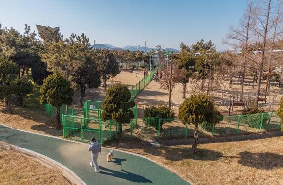애견팻공원 사진 2