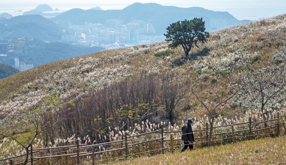 승학산 사진 3