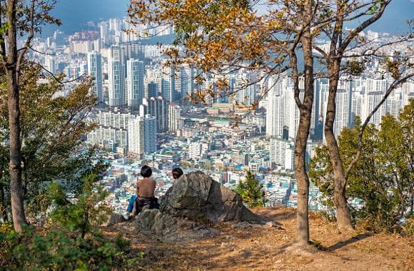 배산숲길 사진 4